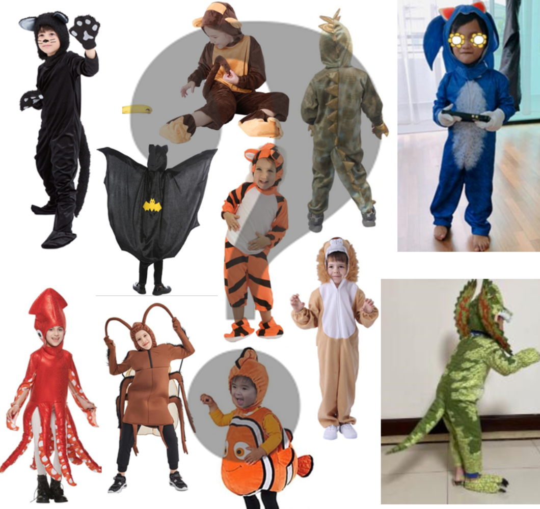 Mystery Box - Boys Halloween Costume / Party Gift, Suitable for age 3-12