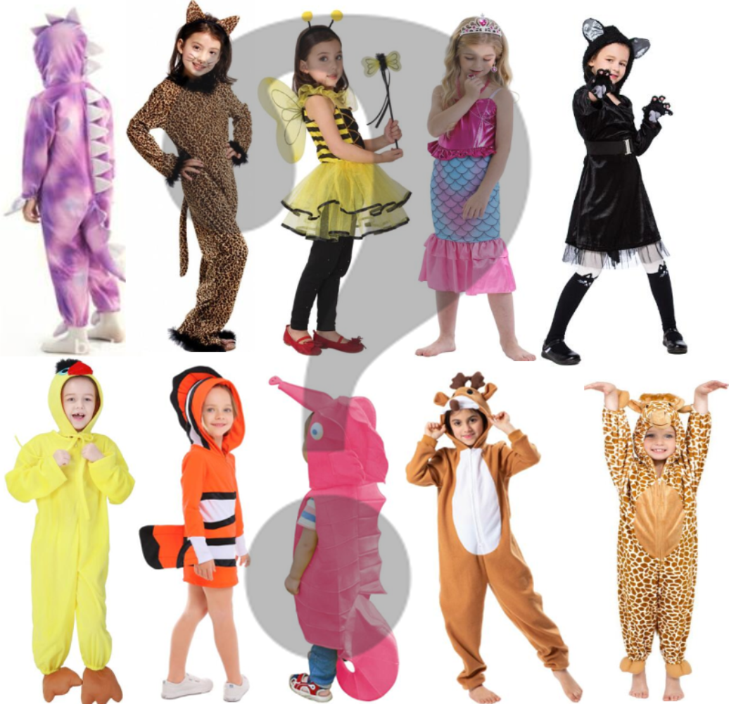 Mystery Box - Girls Halloween Costume / Party Gift,  Suitable for age 3-12