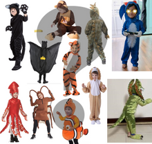 Load image into Gallery viewer, Mystery Box - Boys Halloween Costume / Party Gift,  Suitable for age 3-12
